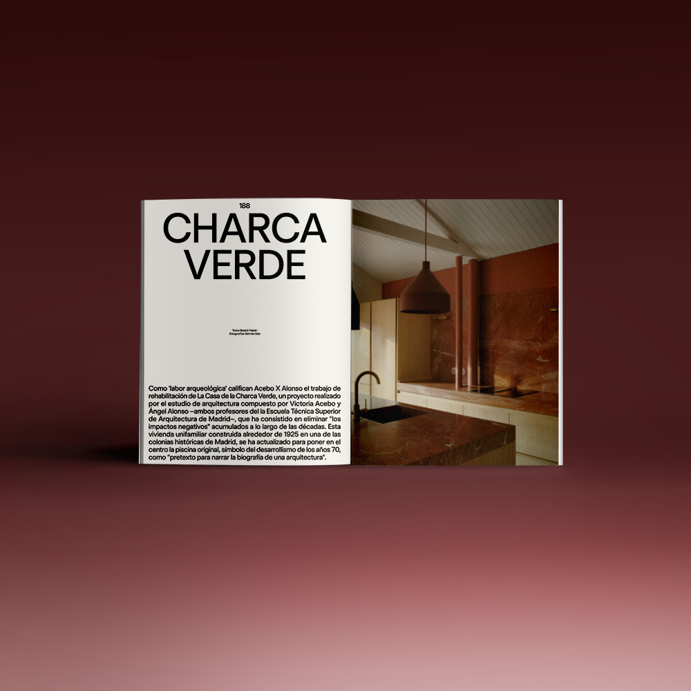 Revista Neo2 número 202 papel: Charca Verde