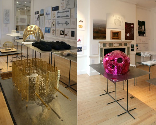 BOOK LAUNCH: Third Natures. A Micropedia.