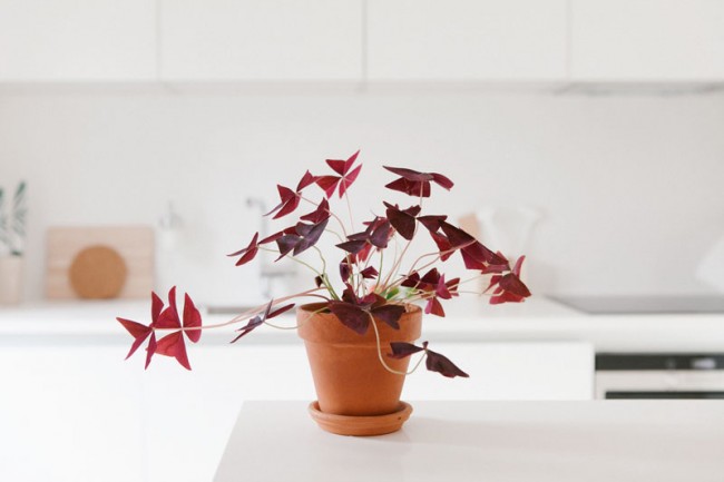 08_60_balconies_madrid 60 BALCONIES: Una casa en Madrid