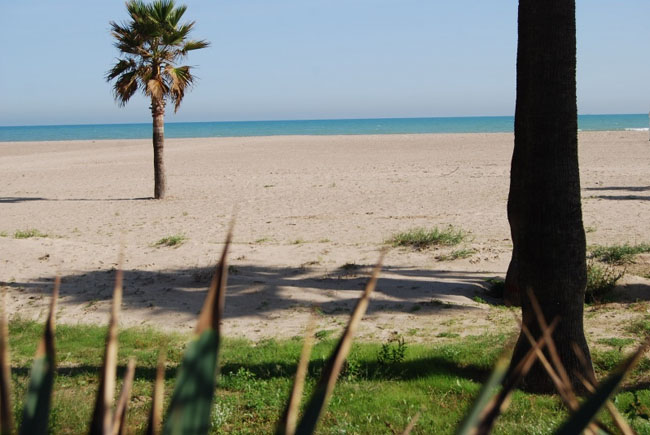 1-arenal-sound ARENAL SOUND