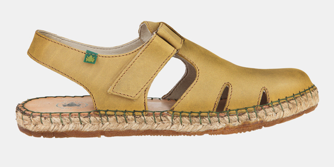 1 el naturalista Campos N667 EL NATURALISTA