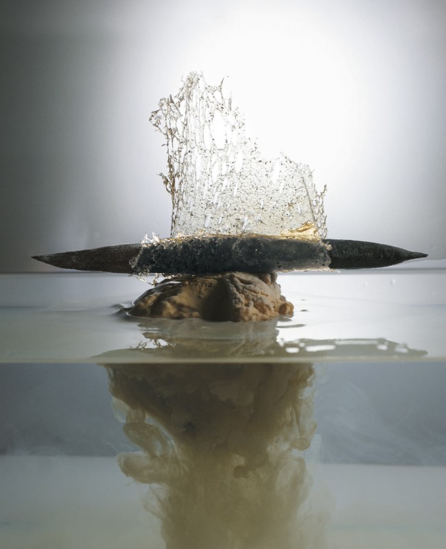 1111 BLOOMCOOKING (2)