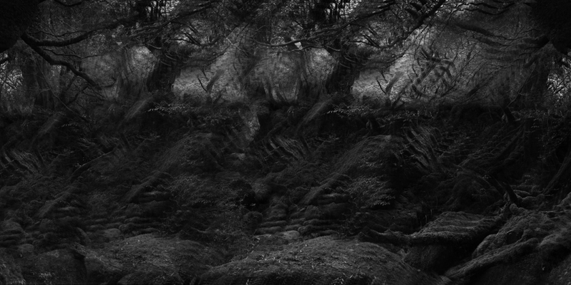 Carlos Casas tendrá retrospectiva en DocumentaMadrid