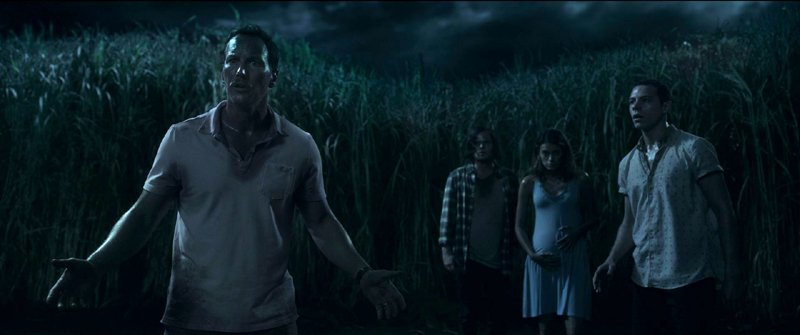 En la hierba alta: los protagonistas Patrick Wilson, Harrison Gilbertson, Laysla De Oliveira y Avery Whitted posan frente a un campo de hierba alta.