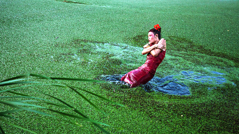 China Boom, fotografía de mujer vestida de rojo sobre césped verde