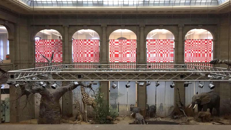 Enterventionale, Vista instalación Landsmark de Roberto Uribe, con la cinta roja y blanca al fondo y la sala con animales africanos al frente