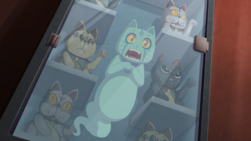 Virtual Hero Rubius: una vitrina llena de gatos.