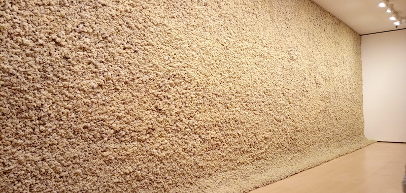 Olafur Eliasson - pared entera llena de liquen color vainilla