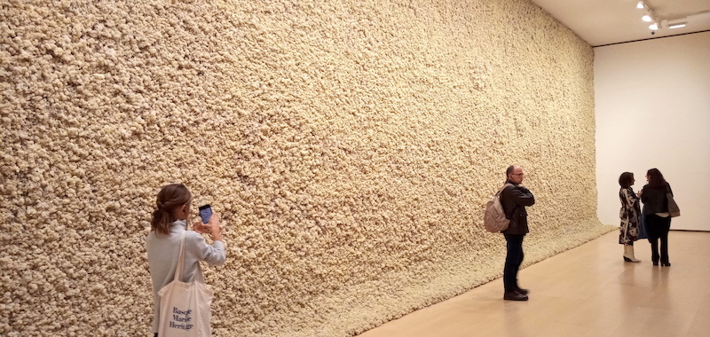 Olafur Eliasson - pared entera llena de liquen color vainilla y publico delante