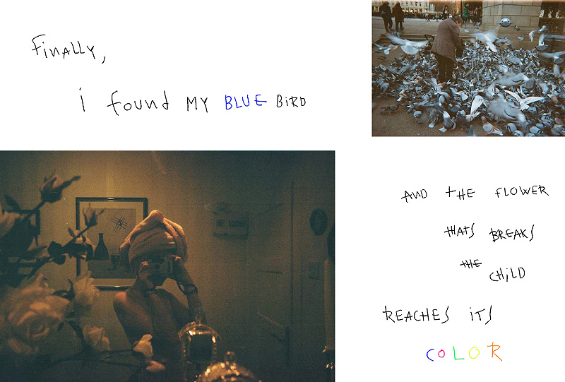 Alba Cámara y su diario fotográfico