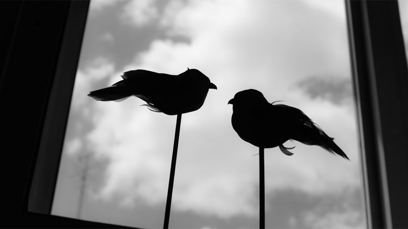 Vacuna, el corto sobre posibles escenarios post pandemia