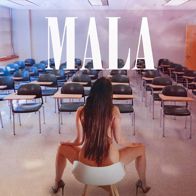 Mala de Mala Rodriguez ¿disco del año?