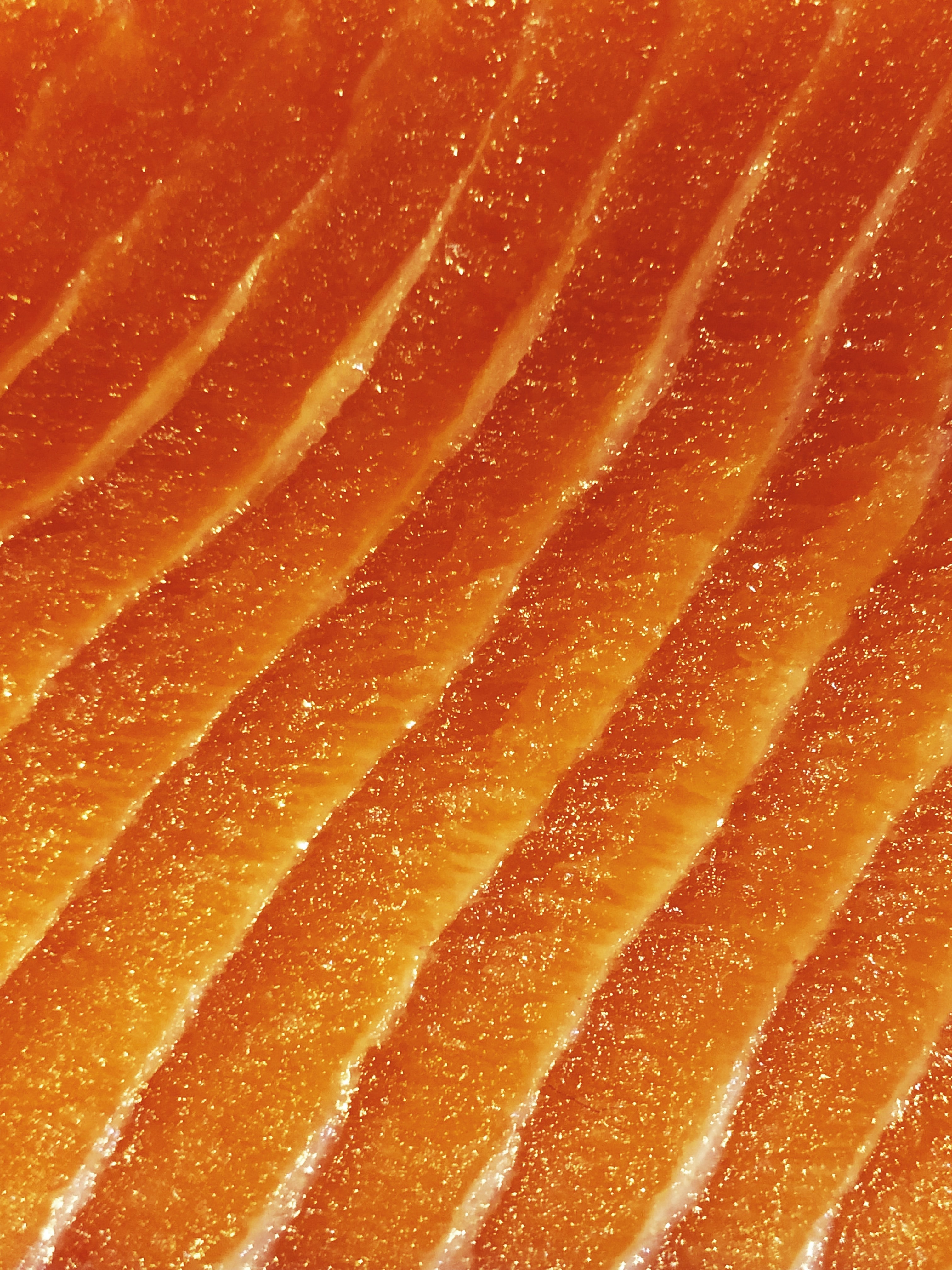 Legendary Vish: salmón vegano impreso en 3D