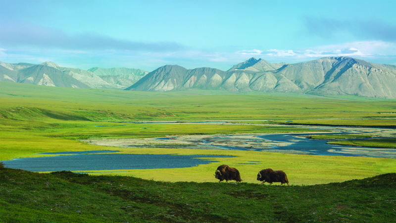 Public trust: paisaje natural de Alaska.