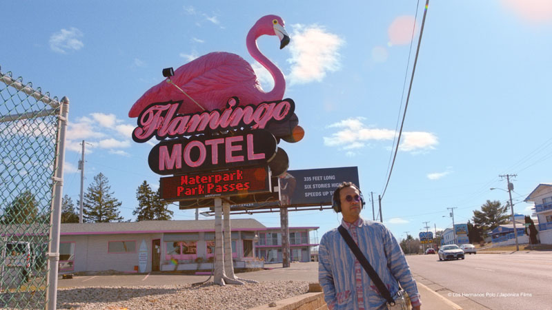 The mystery of the pink flamingo, cultura kitsch