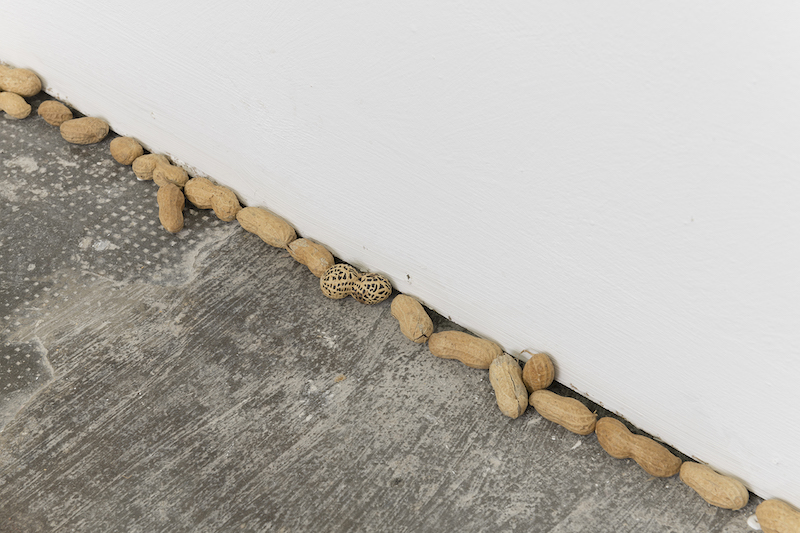 '20vingut' de Jaume Clotet en el espacio 17m2 etHALL