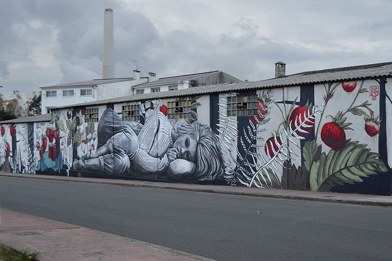Lula Goce: gran mural realista en fachada