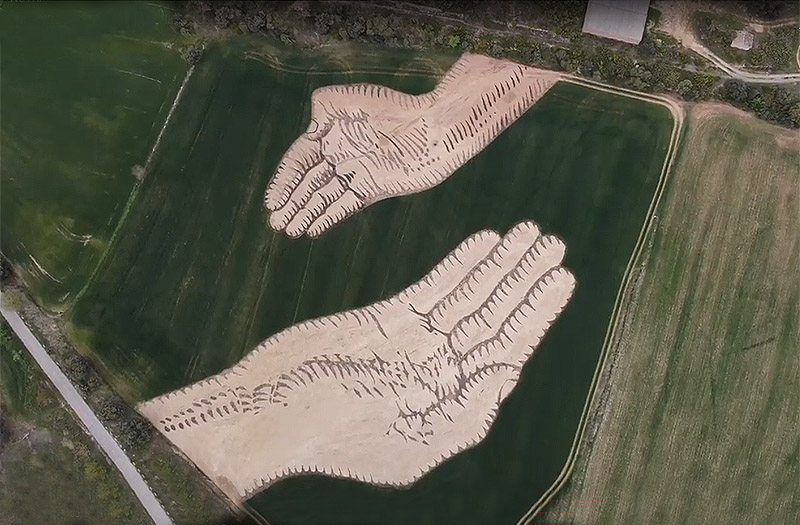 Nutrir la Estima - imagen aerea de Land Art. 2 manos gigantes dibudadas con abono en un campo sembrado