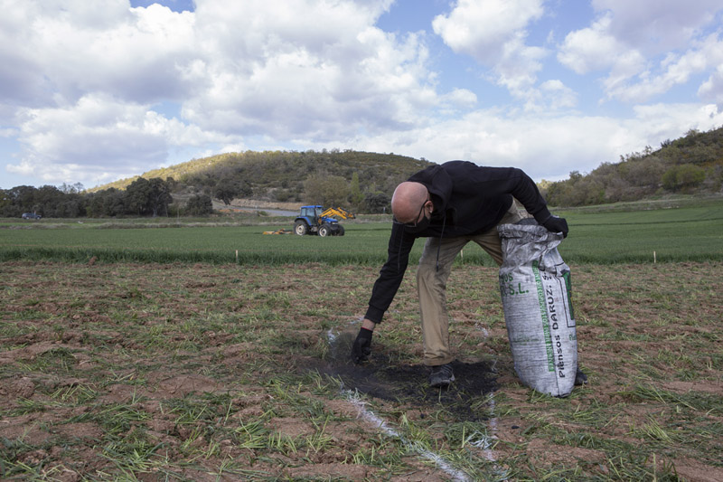 Nutrir la Estima - imagen de una persona trabajando en un campo