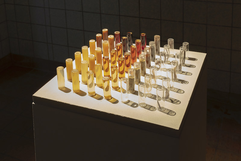 Schinkel Pavillon, una mesa con tubos de ensayo llenos de líquidos de color amarillento