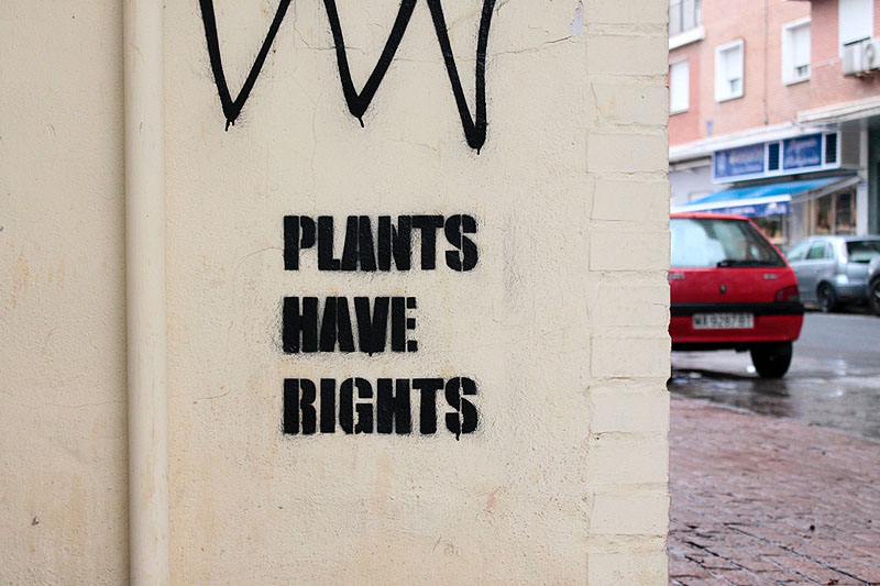 Ciencia Friccion en el CCCB, pintada en una pared donde se lee "las plantas tienen derechos"
