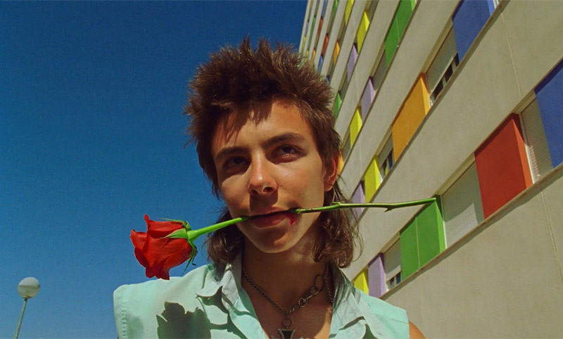 el amor amenazado - fotograma del corto, primer plano de un chico con una rosa en la boca