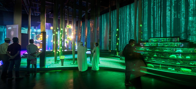 Diseño expositivo Pabellón España expo Dubai 2020: dentro de una exposición con luces de colores