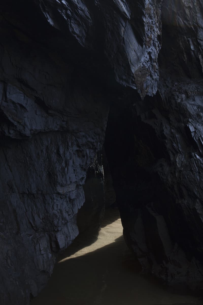 Violeta Mayoral. Salir de la foto