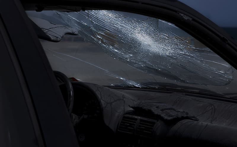 Violeta Mayoral. Salir de la foto