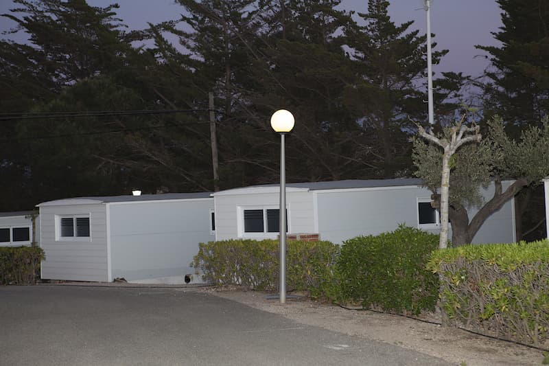 Violeta Mayoral. Salir de la foto