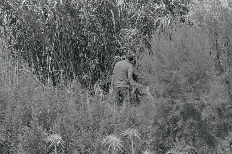 Violeta Mayoral. Salir de la foto