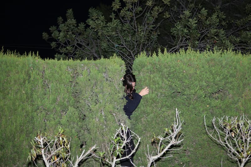 Violeta Mayoral. Salir de la foto