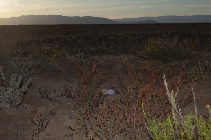 Violeta Mayoral. Salir de la foto