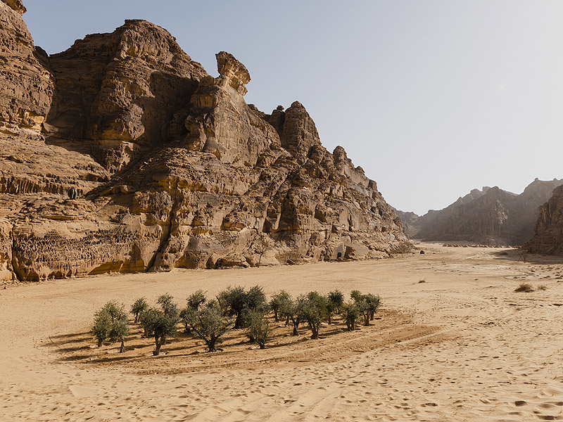 Desert X AlUla 2022: la belleza de la inmensidad