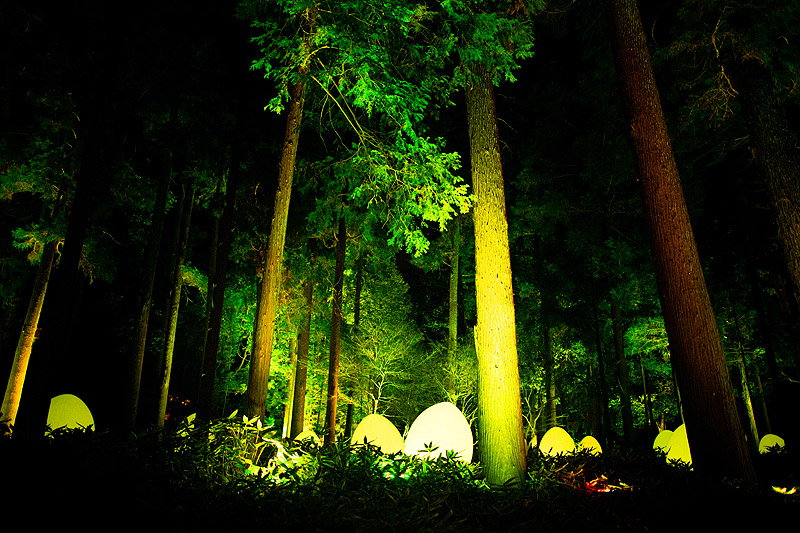 teamLab - bosque iluminado de colores y huevos gigantes luminosos