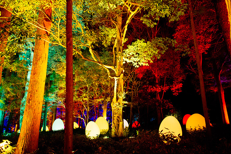teamLab - bosque iluminado de colores y huevos gigantes luminosos