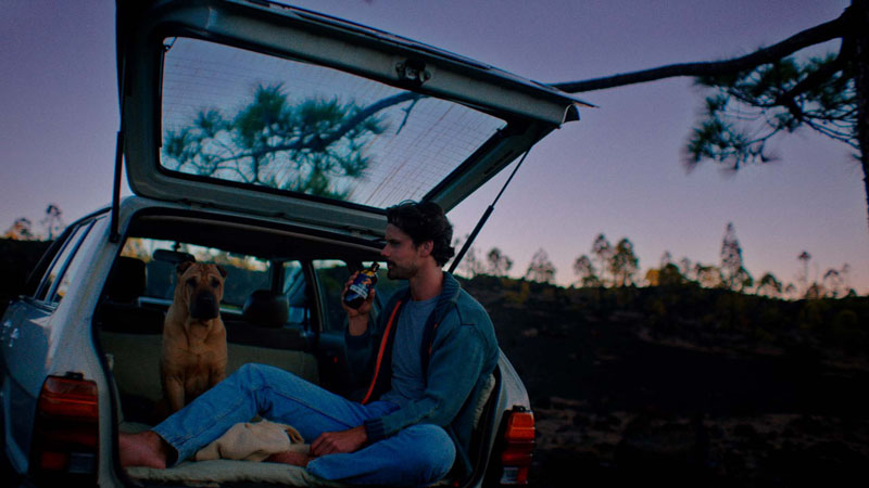 ¿Cómo encontrar la libertad y la felicidad? un hombre en el maletero de un coche junto a su perro
