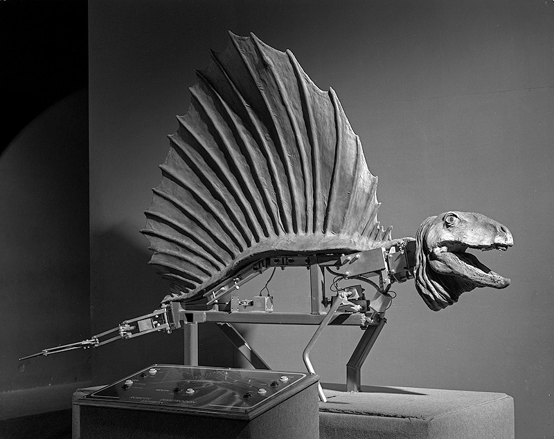 Revela’T. Festival de fotografía analógica - foto en blanco y negro de dinosaurio de mentira
