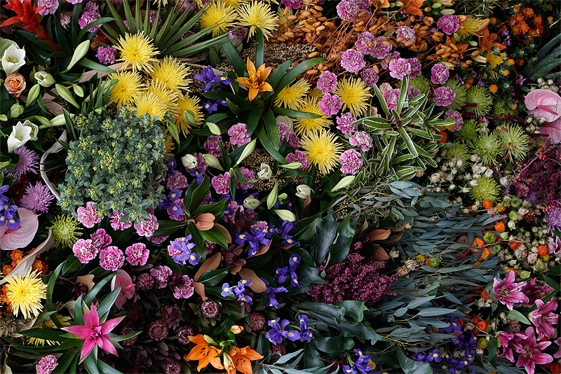 Festival Flora. Lo mejor del arte floral en Córdoba