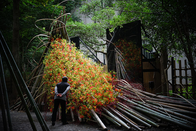 festival Flora 2022 - instalación artística a base de flores y plantas