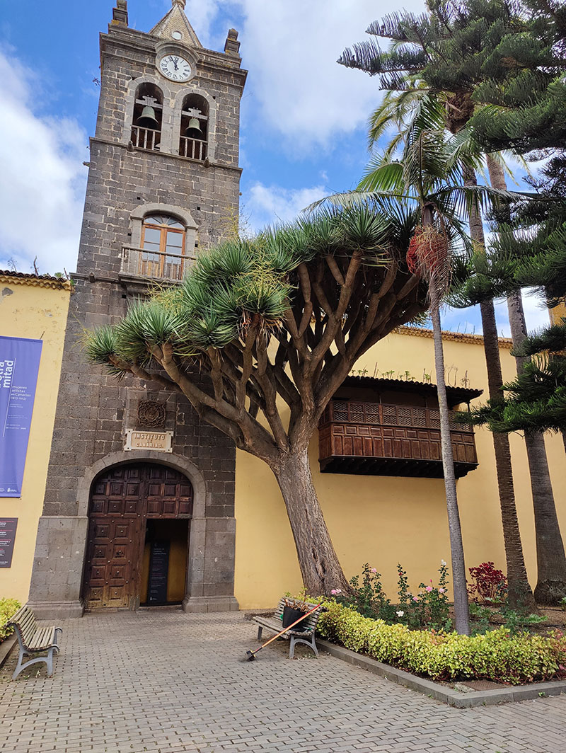 Qué hacer en Tenerife: viajes, gastronomía, naturaleza...