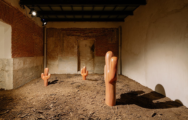 CLAUDIA COMTE - Vista de la exposición, esculturas con formas vegetales