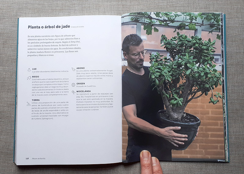 Green Home - libro de las plantas de interior