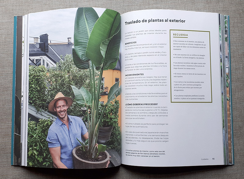 Green Home, el libro de las plantas de interior