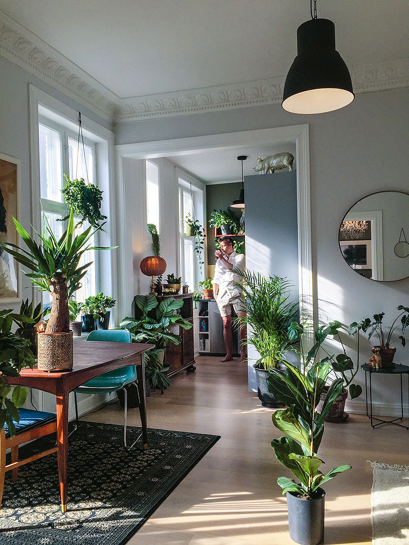 Green Home, el libro de las plantas de interior