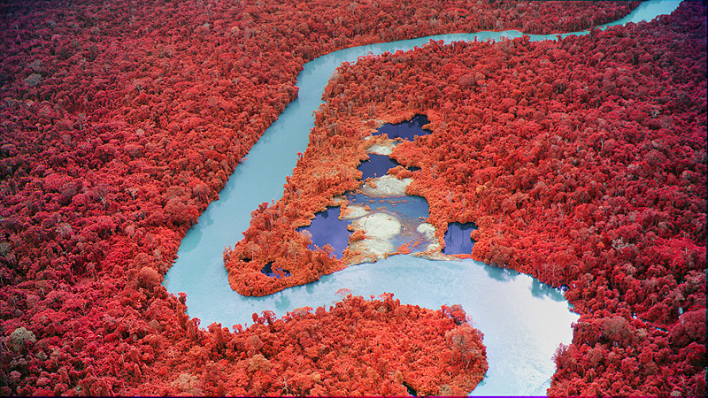 Broken Spectre de Richard Mosse. foto aerea de la selva con cámara térmica, muy colorida