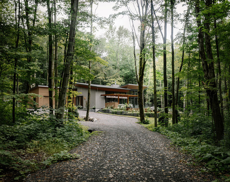 Oakhill, la idea Matière Première Architecture más boscosa