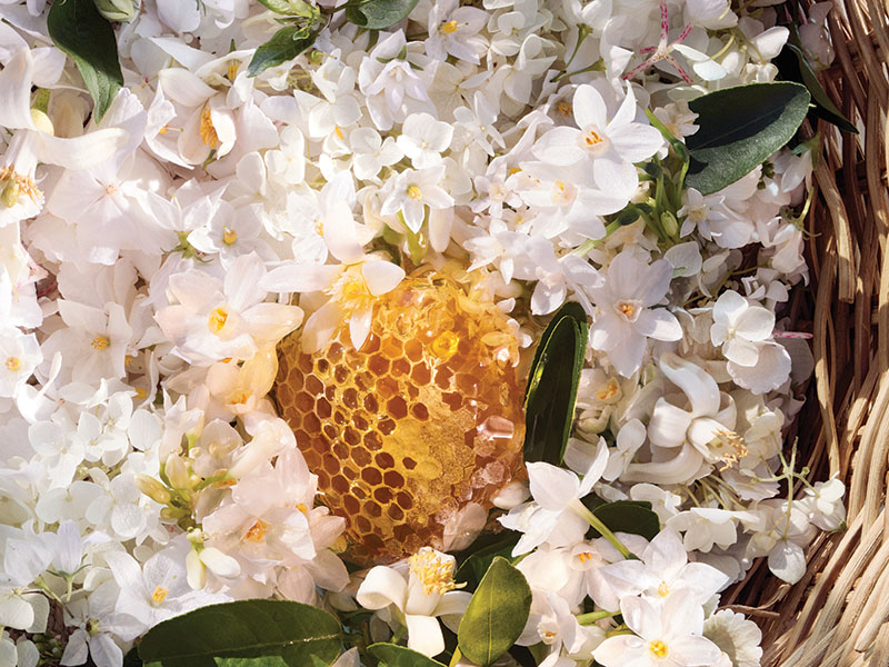 La cosecha de primavera nos trae tres perfumes de Guerlain