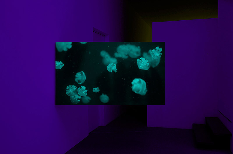 Paulo Arraiano - instalación artística con panalla de video con imágenes marinas