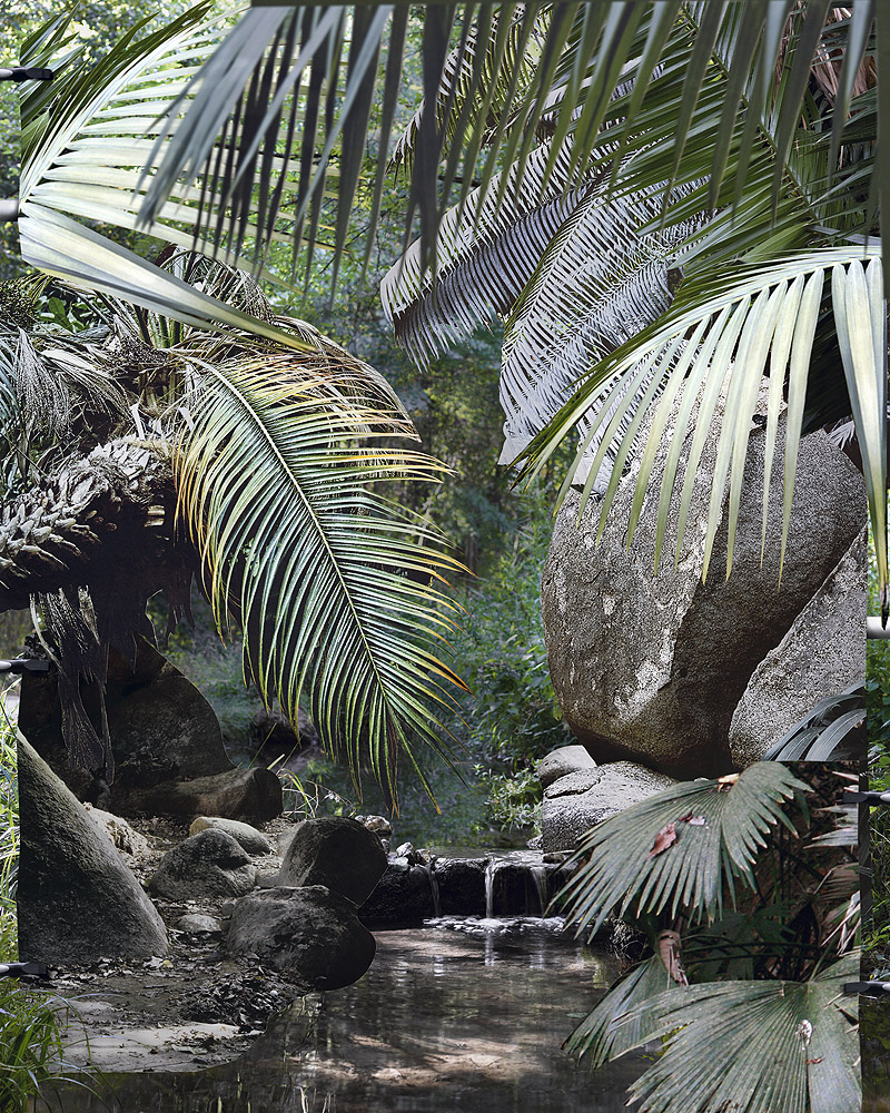 Arte y caos climatico - foto de la selva
